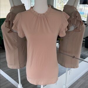 Adrianna Papell Pleated Ruffle Sleeve Top in Blush Pink